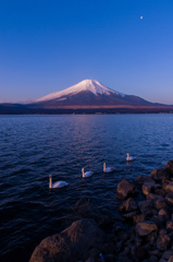 朝のお散歩。