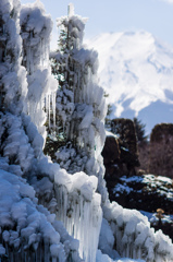 富士のある雪景色2