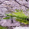 春色、水鏡。
