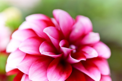 Natural, but Deep Color
