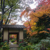 紅葉庭園2