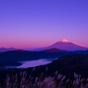 Twilight～朝焼けの瞬間