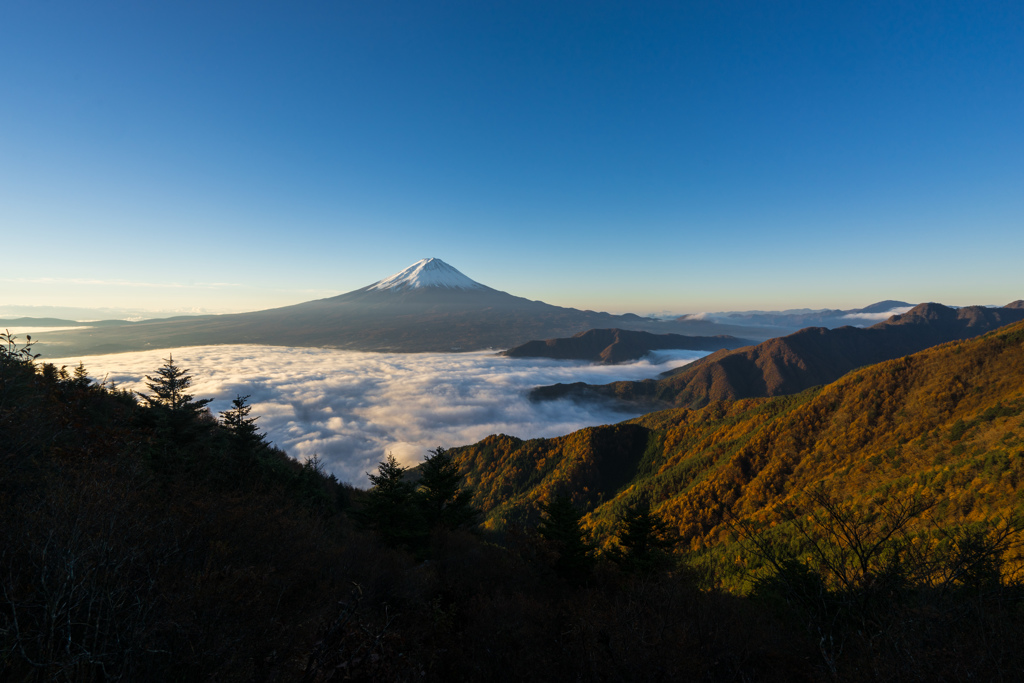 Sea of cloud and autumn