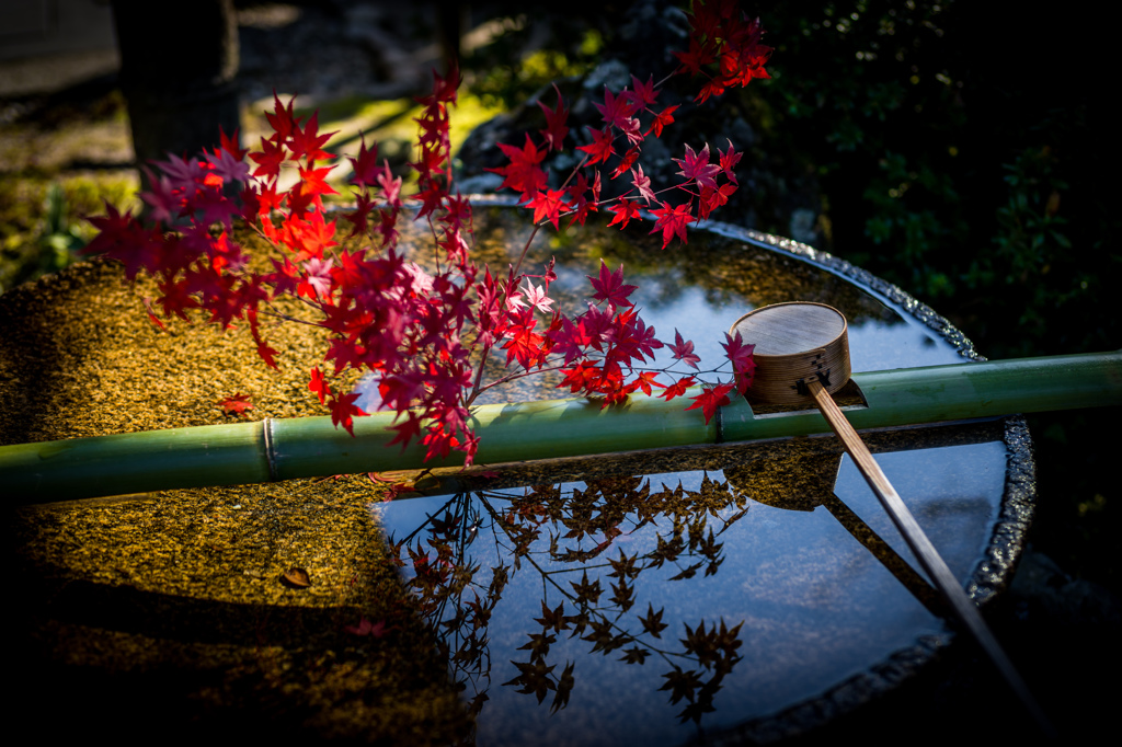 和の紅葉添え