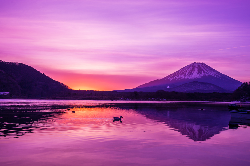 薄紅色の朝景