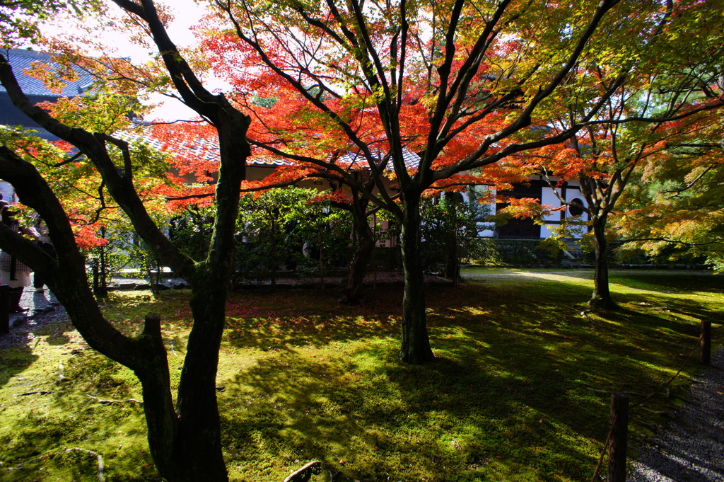 東福寺