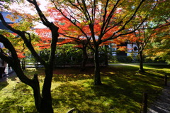 東福寺