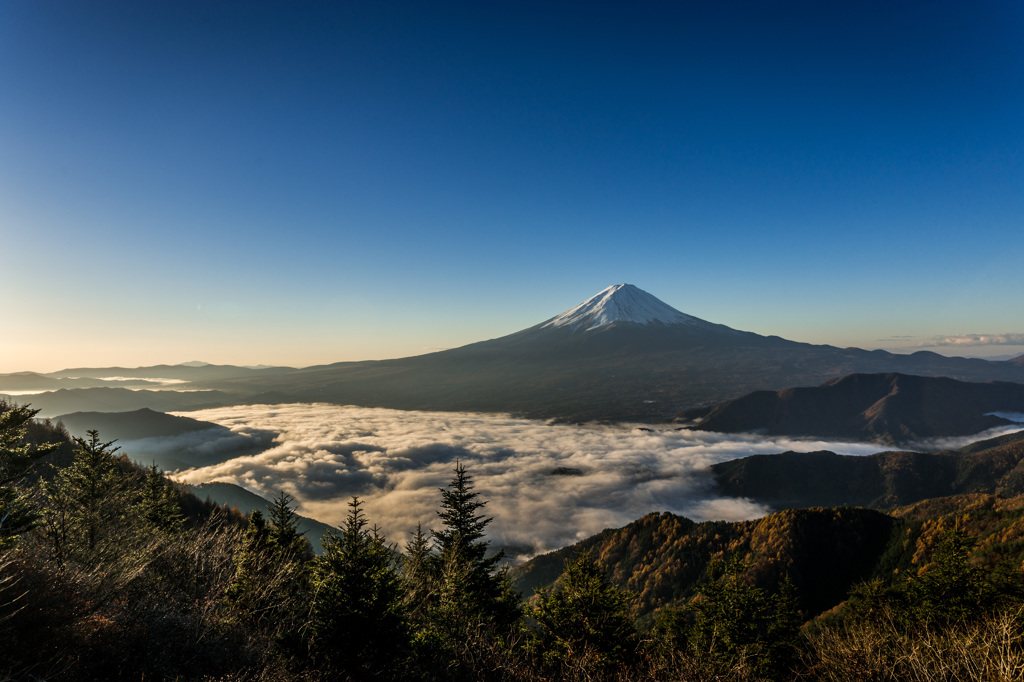 富士と秋景色