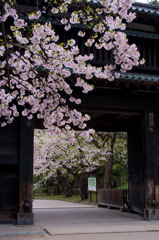 城門の彩り