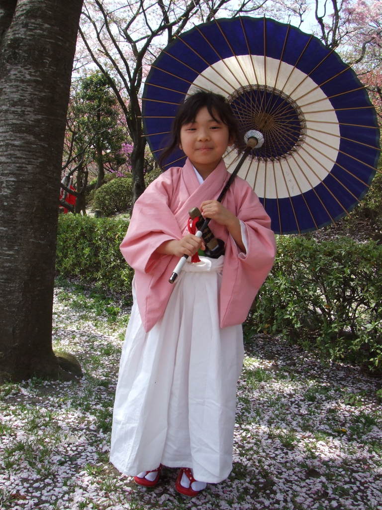 桜のじゅうたん３