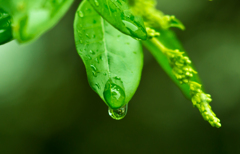 雨の日は・・・