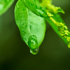 雨の日は・・・