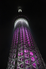 桜木
