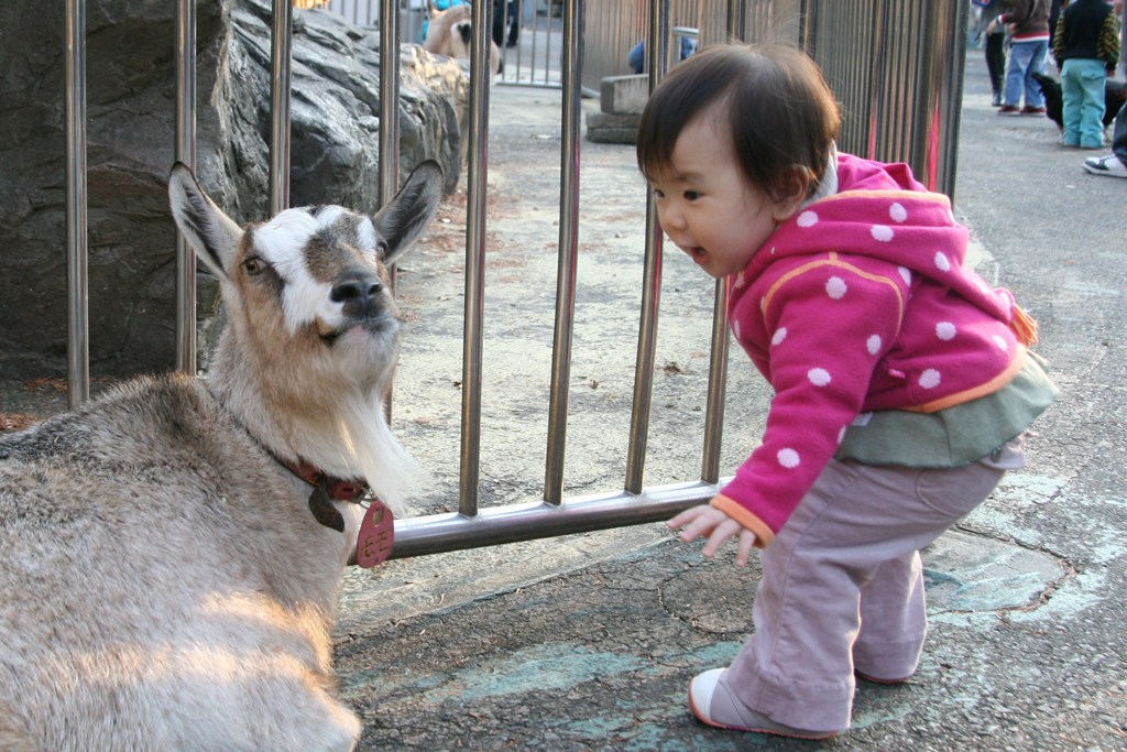 ちょっとシカトしないでよ☆