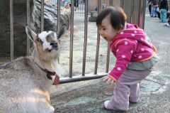 ちょっとシカトしないでよ☆