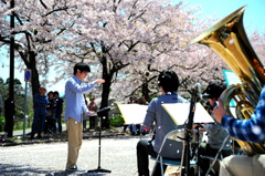 the magic of music 