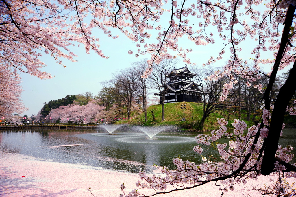 Takada park and sakura river