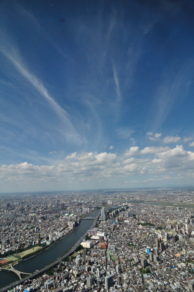 地上300m
