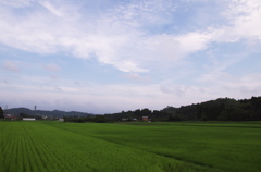 城下の田んぼ