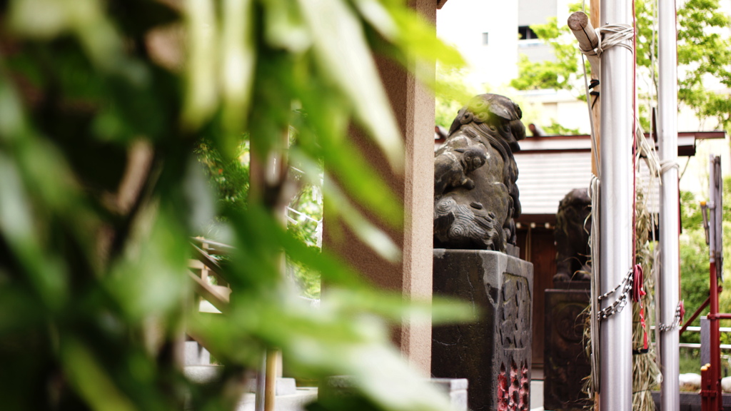 SUMMICROM-M 35mm F/2