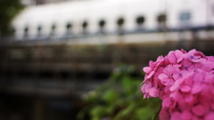 SUMMICROM-M 35mm F/2