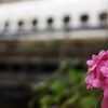 SUMMICROM-M 35mm F/2