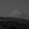 モノクロのフジ