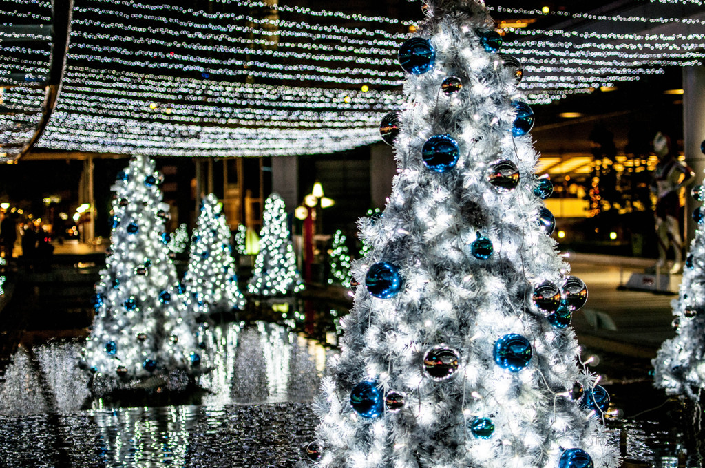 メリークリスマス☆