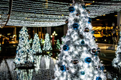 メリークリスマス☆
