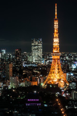Tokyo　Tokyo tower