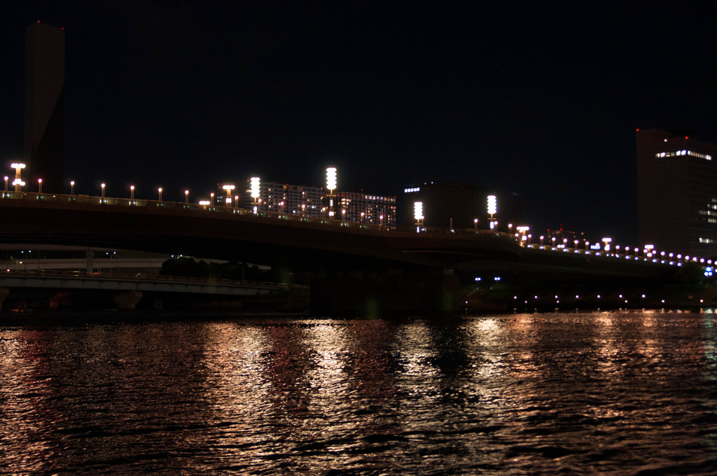 夜の探検