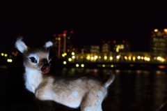 バンビ東京へ行く