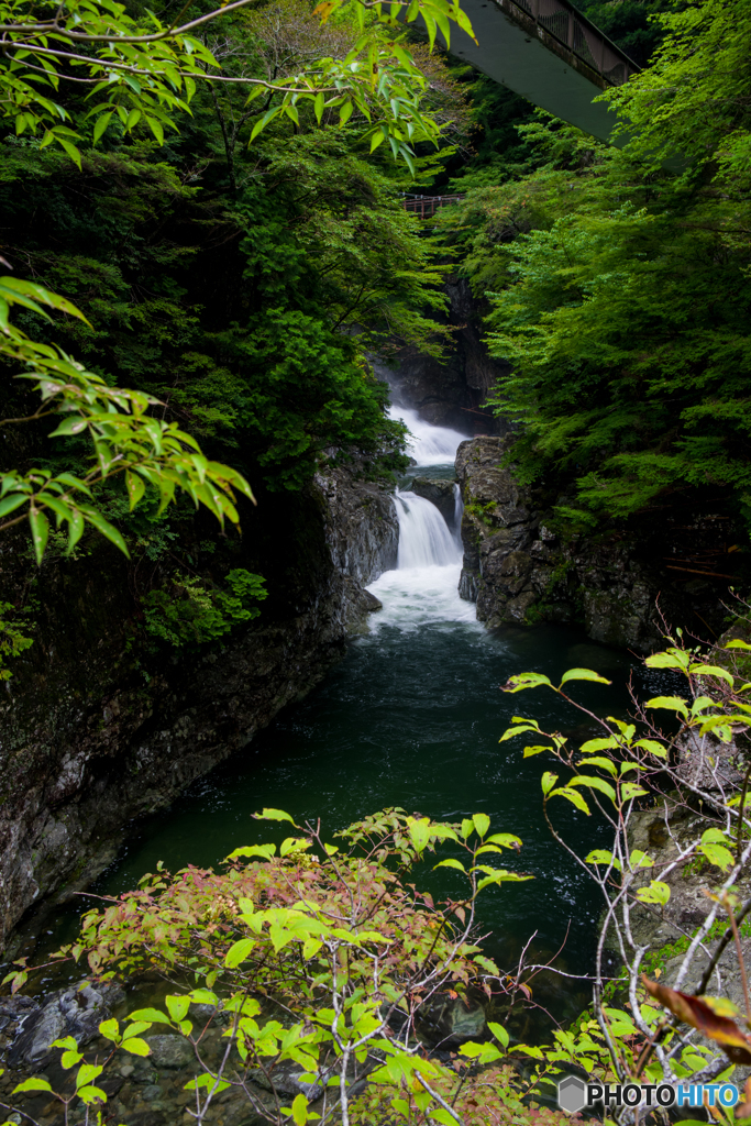 みたらい渓谷 中景