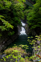 みたらい渓谷 中景