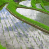 棚田～windows
