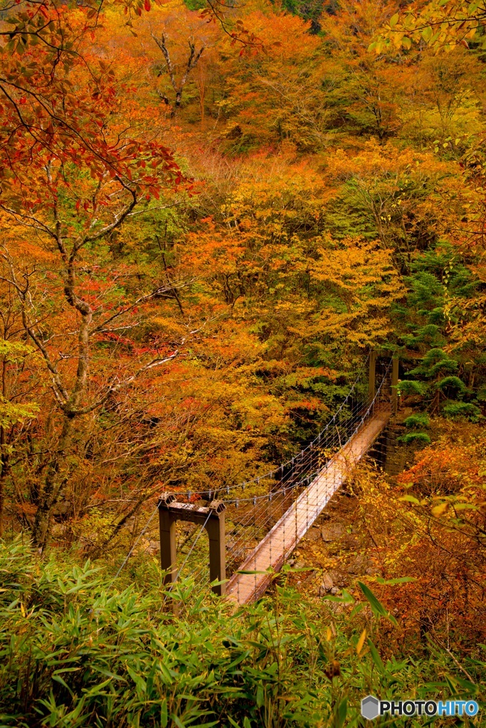 かくれ橋