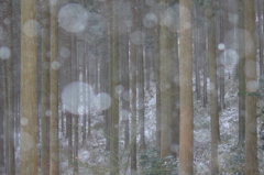 森閑