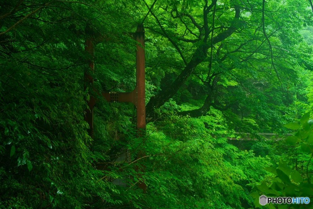 かくれ橋