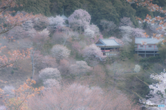 奈良の奥座敷