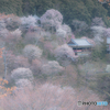 奈良の奥座敷