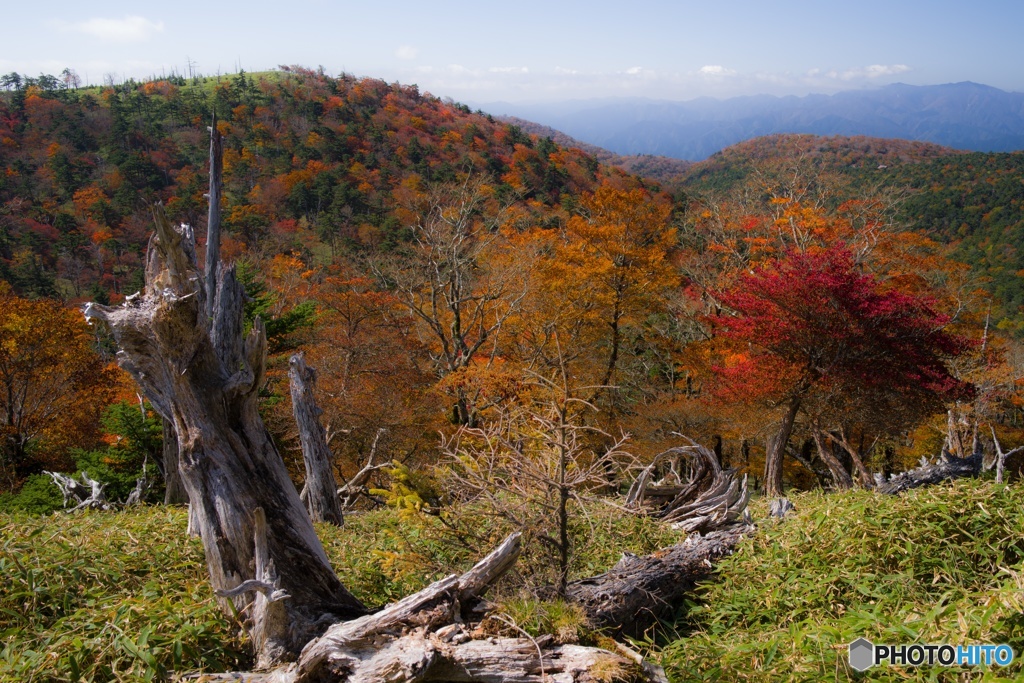 正木峠の紅葉