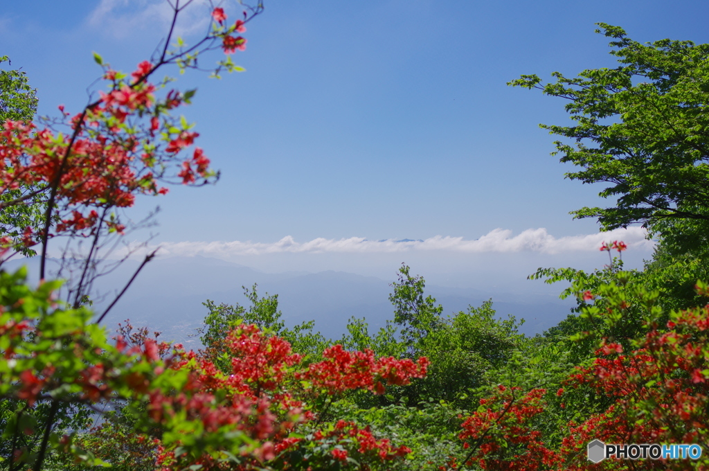 大峰山系とツツジ