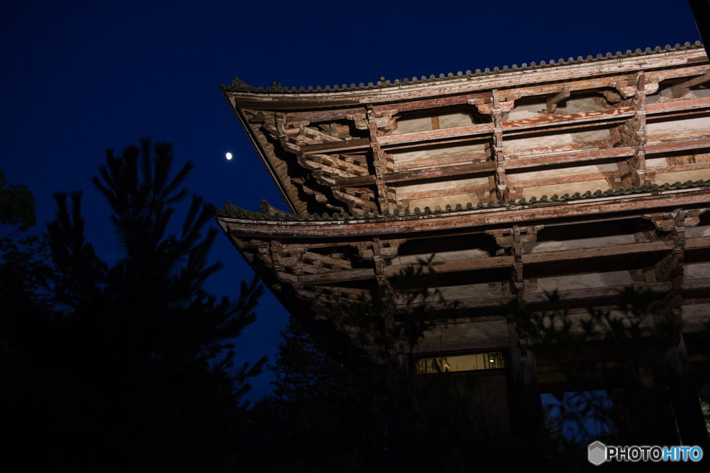 月夜の東大寺南大門