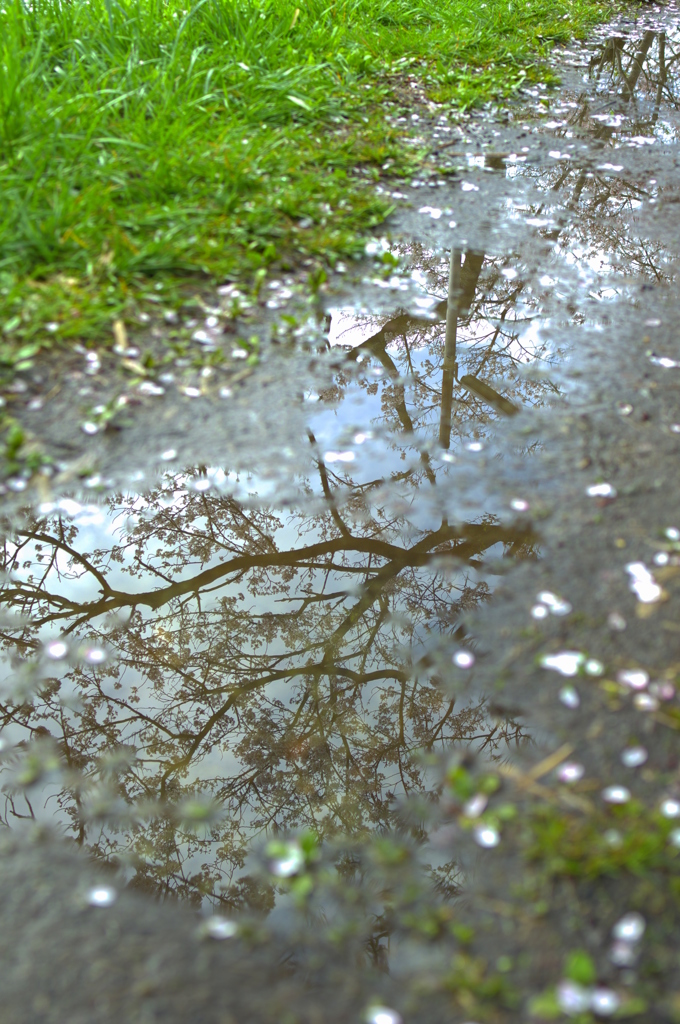 雨あがる