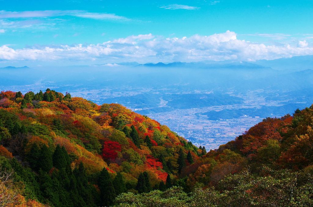 吉野山 望む