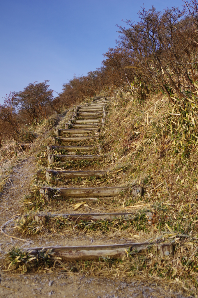 まだ冬は続く
