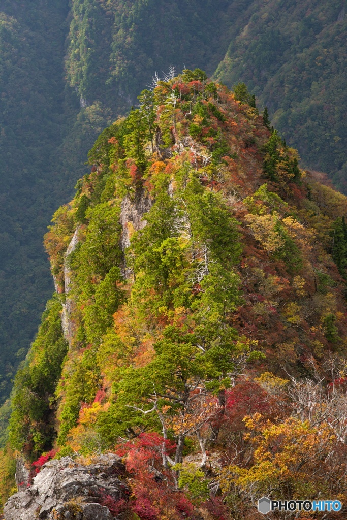 大蛇嵓より