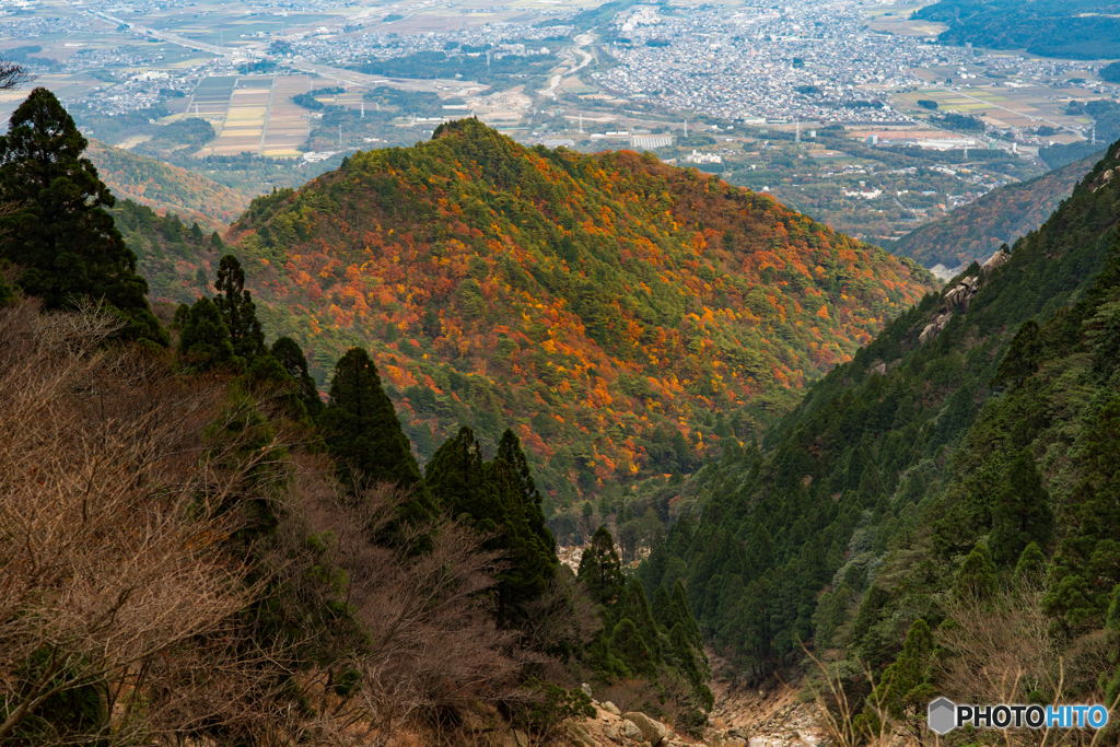 麓を望む