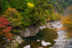 川迫川 清流