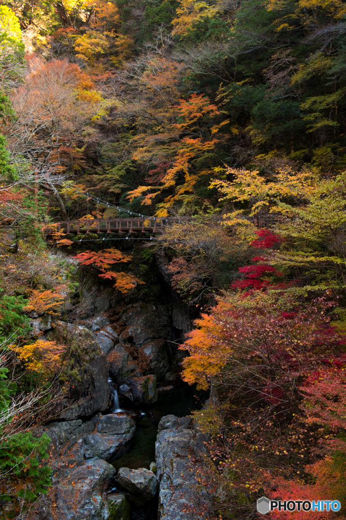 御手洗渓谷の紅葉